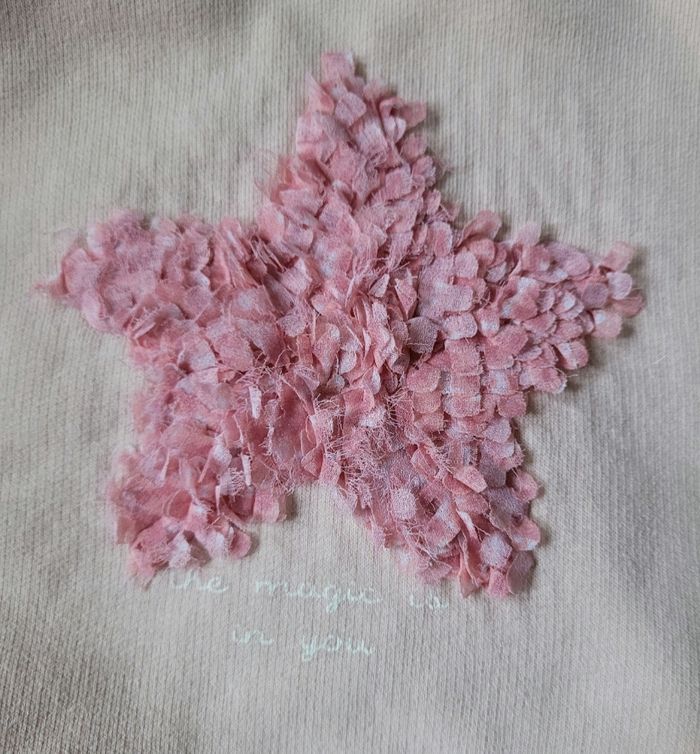 Sweat à capuche taille 4 ans - photo numéro 3