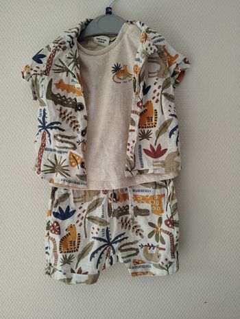 Ensemble safari