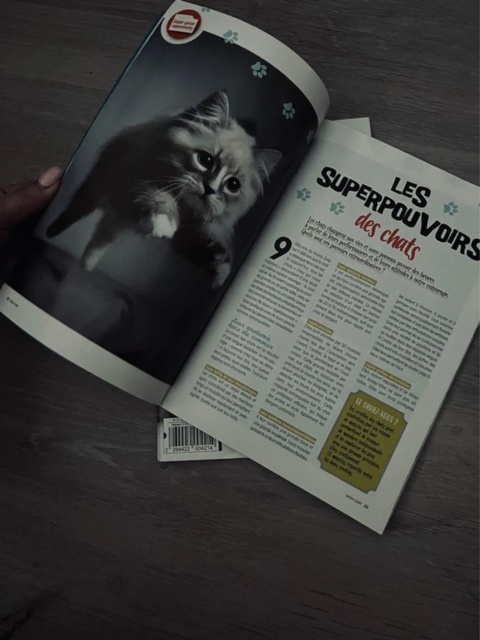 Magazine chat - photo numéro 4