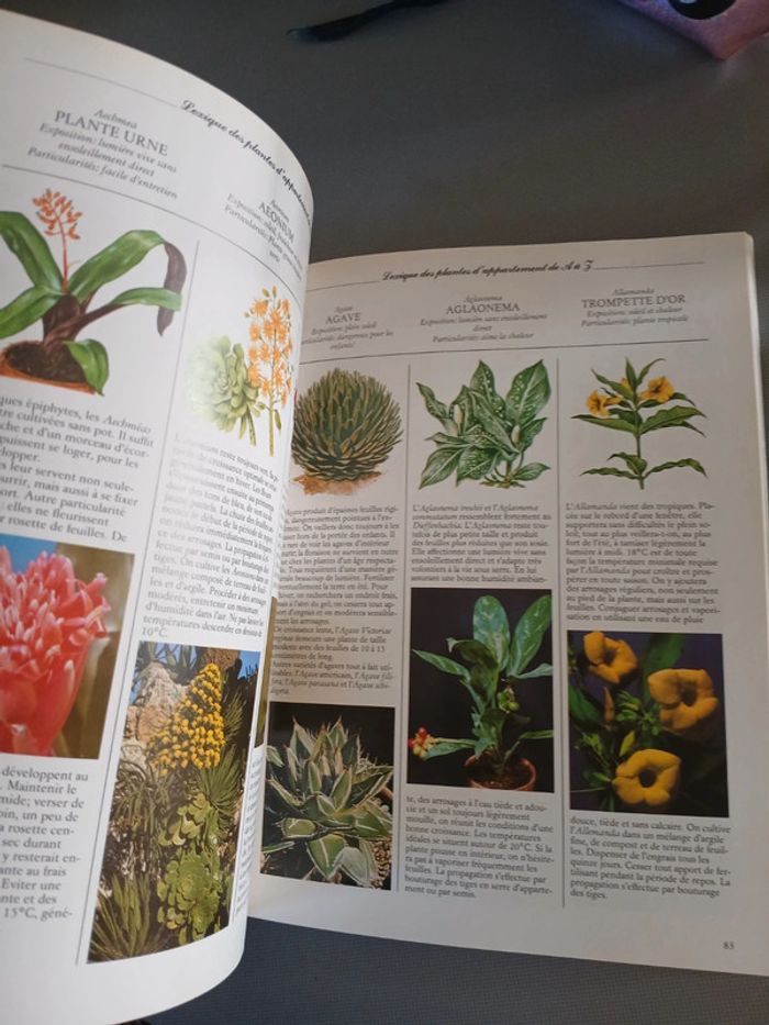 🍍 Livre Les plantes d intérieur - photo numéro 8