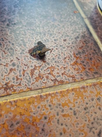 Pin's différent modèle