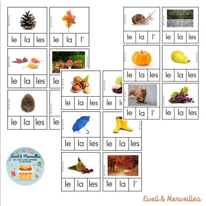 Cartes à pinces article définit automne + 6 pinces en bois