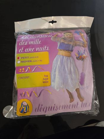 Déguisement fille La danseuse des 1001 nuits 4/6 ans