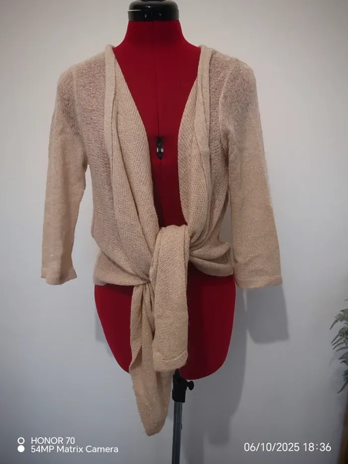 Gilet pailleté