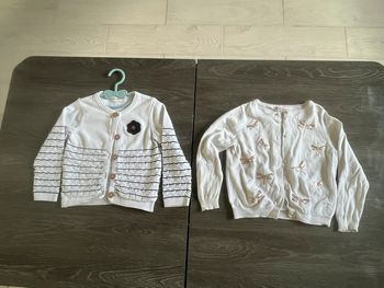 Lot 2 veste