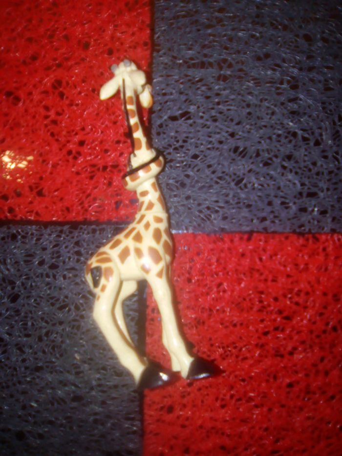 Madagascar - photo numéro 2