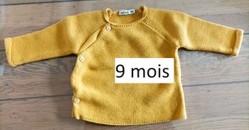 Lot n°195 Pull Gémo 9 mois