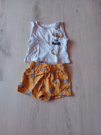 Ensemble simba
