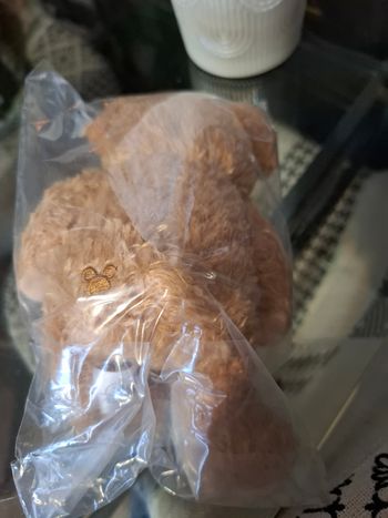 Peluche d'épaule shoulder plush Duffy the disney bear