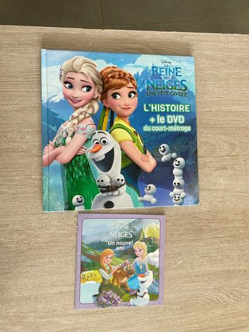 La reine des neiges, une fête givrée