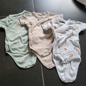 Lot 3 bodies manches courtes 3 mois