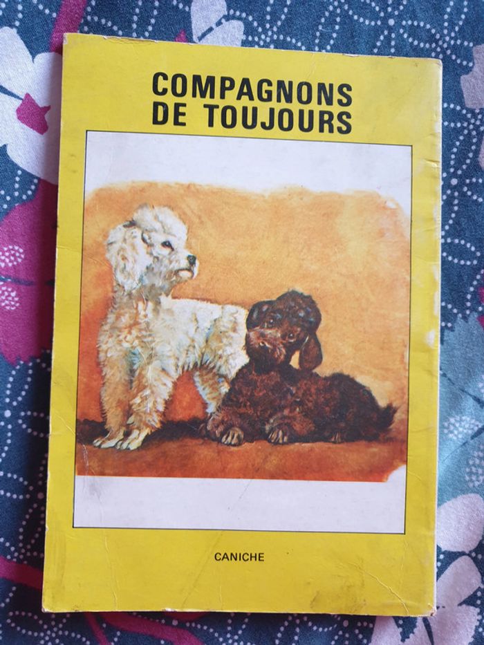 Titi 22 avec un Titi auto-collant - photo numéro 2