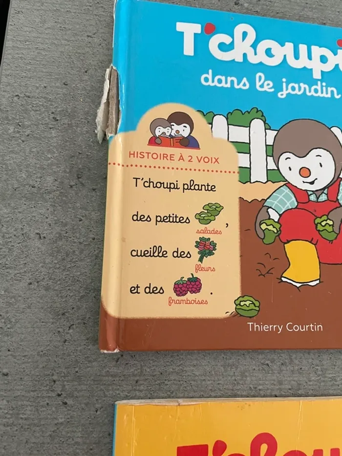 Lot livres t’choupi - photo numéro 2
