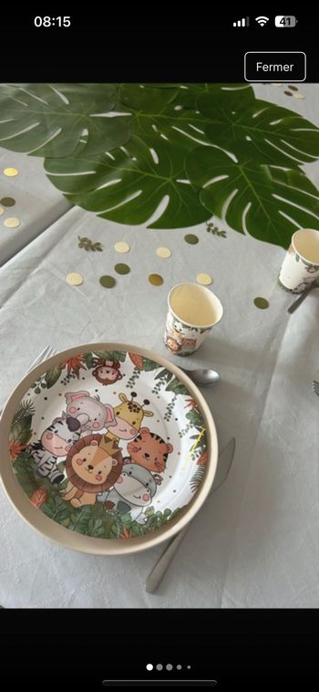 Lot décoration fête bébé Jungle