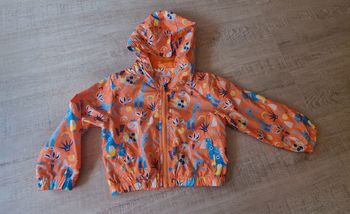Coupe vent orange Dinosaure 24Mois