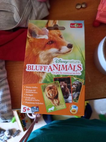 Jeux de carte  disney  nature neuf ouvert pour la photo