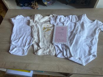 Lot 5 bodies manche courte