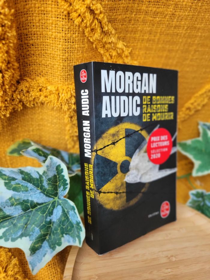 Livre "De bonnes raisons de Mourir" de Morgan Audic - photo numéro 3