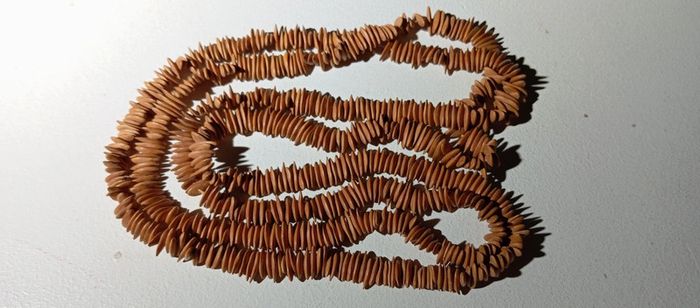 Collier sautoir en graines de citrouille - photo numéro 2