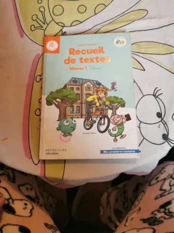 Recueil de textes niveau 1 volume 1