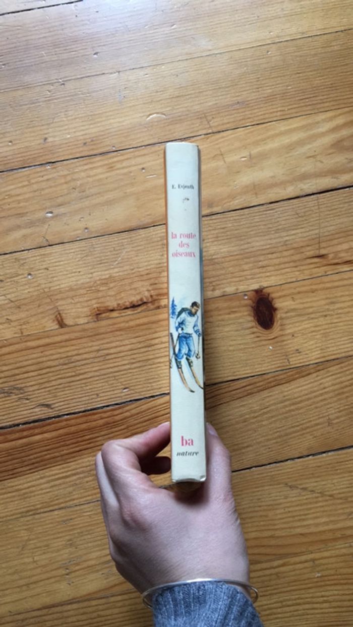 La route des oiseaux - photo numéro 2