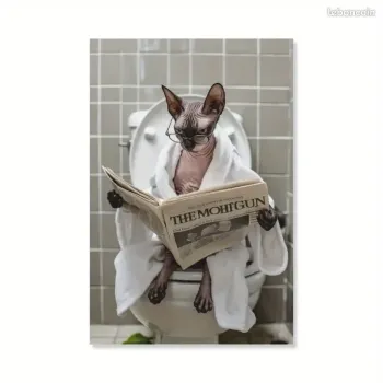 Poster plastifié déco chat sphynx