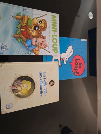 Lot de 3 livres enfants Albums Hachette
