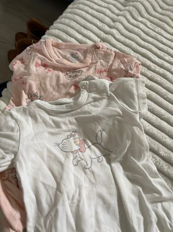 2 bodies aristochats Marie Disney