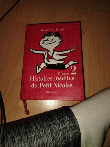 Aventure du Petit Nicolas
