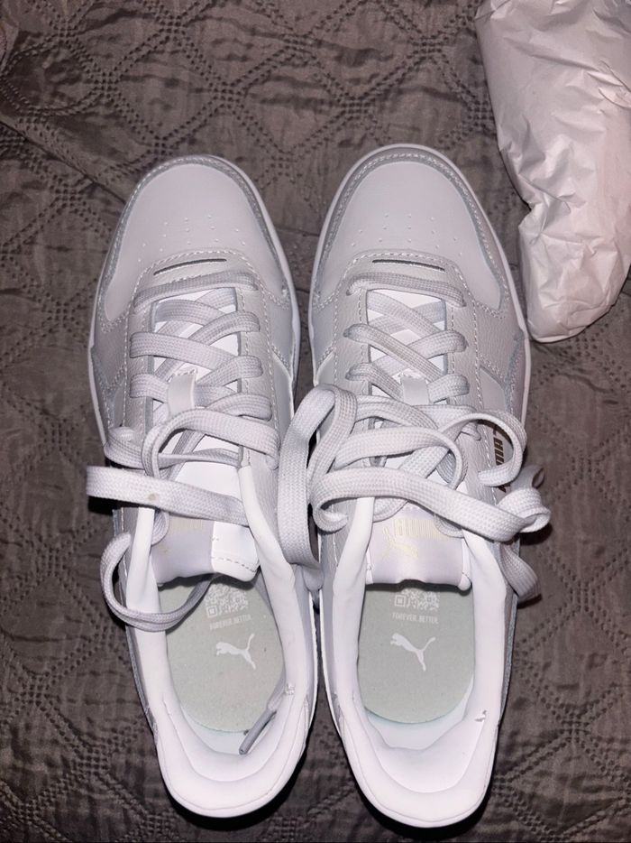 Puma Carina - photo numéro 2
