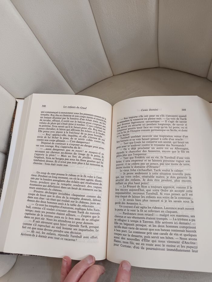 Roman " Les enfants du Graal " - photo numéro 4