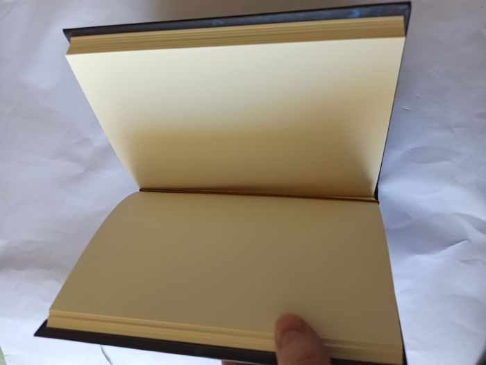 Carnet en relief Loup aux yeux bleus - photo numéro 4