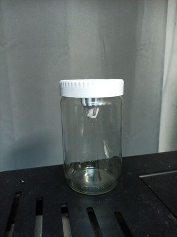 5 pièges à frelon asiatique