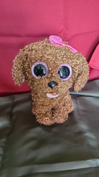 Peluche Boo's 23cm Maddie Le Chien ty
