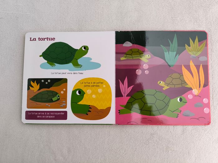 Livre Les animaux de compagnie Auzou - photo numéro 6