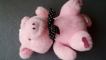 Peluche cochon 18 cm