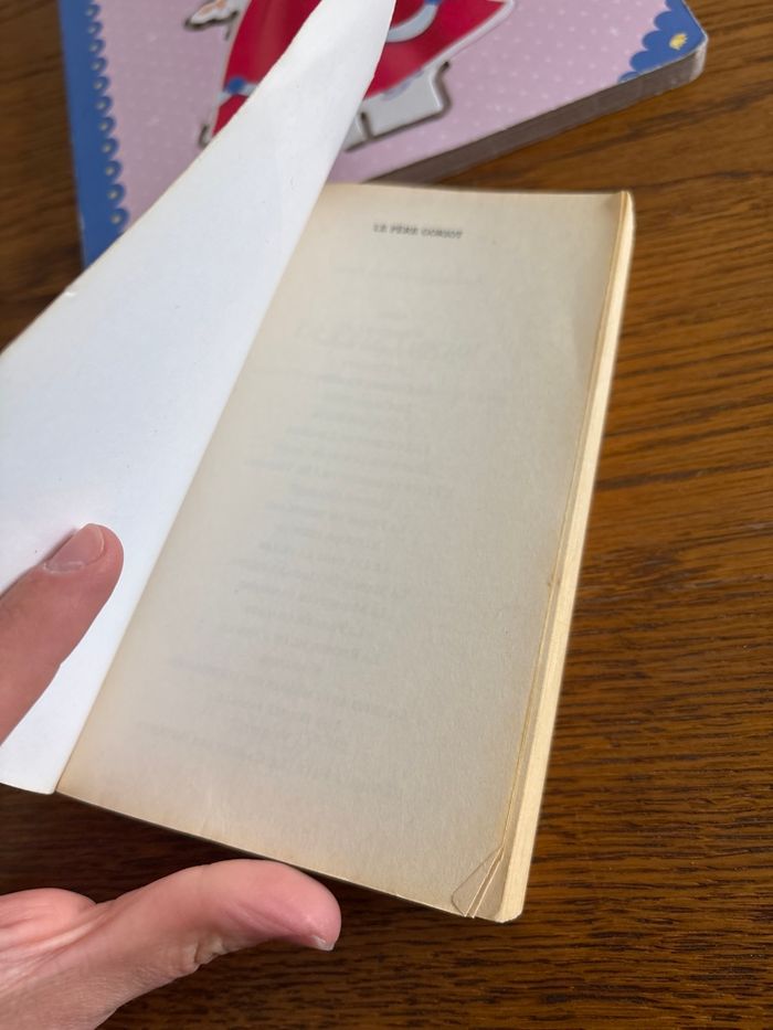 Balzac père goriot - photo numéro 3