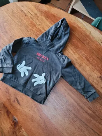 Sweat à capuche