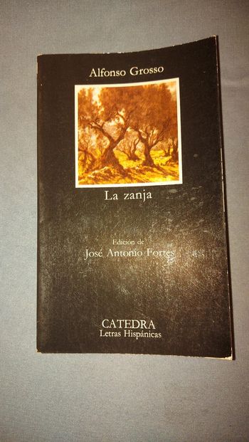 Alfonso Grosso, La zanja.