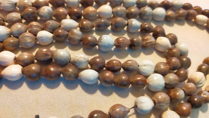 Collier long en graines naturelles – Tons bruns et crème - Collection Terres d’Ailleurs - photo numéro 8