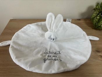 Doudou plat rond lapin blanc interdit de me gronder