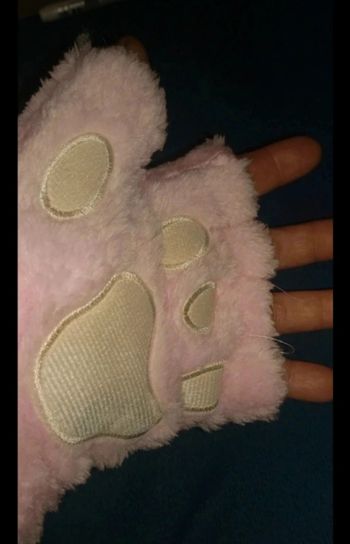 Gants mitaines pattes de chat chien ours