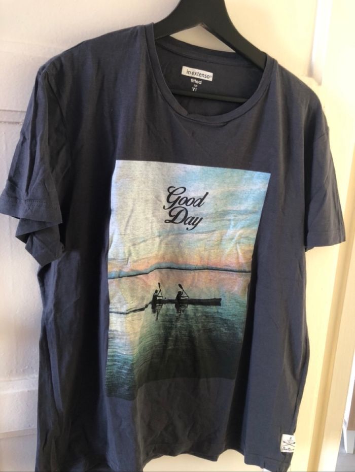 Tee shirt gris IN Extenso t.xl