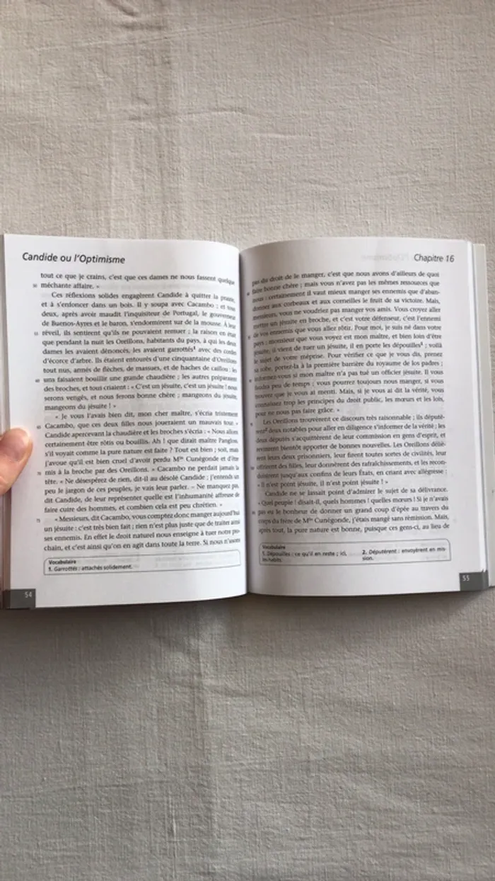 Voltaire - candide - photo numéro 4