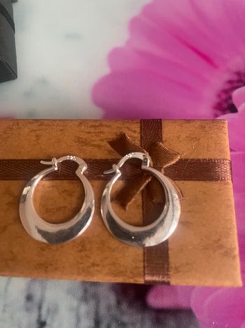 Créoles plate  magnifique 