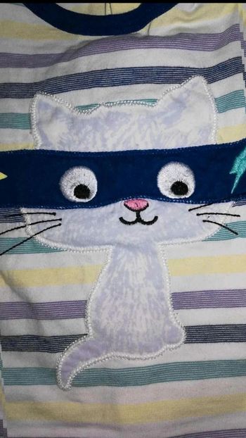 T  shirt  manches  longues  chat  masqué