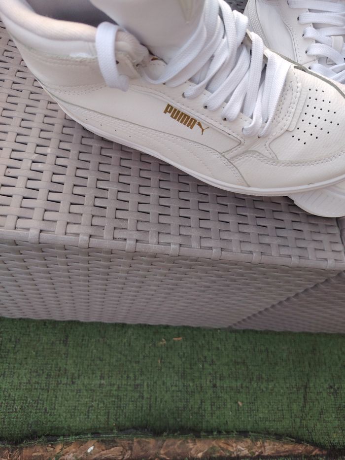 Basket puma
