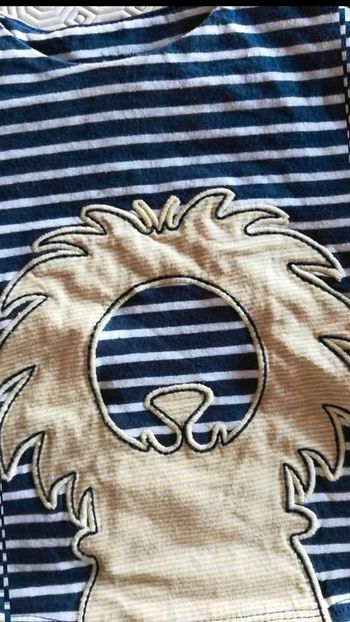 Marinière  lion 🦁