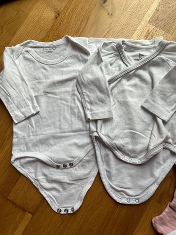 Lot body