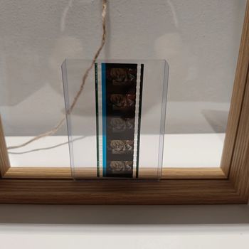 Pellicule démon slayer zenitsu